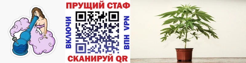 Купить закладку Каннабис  Меф мяу мяу  КОКАИН  СОЛЬ  Галлюциногенные грибы  ГАШ  Боровичи