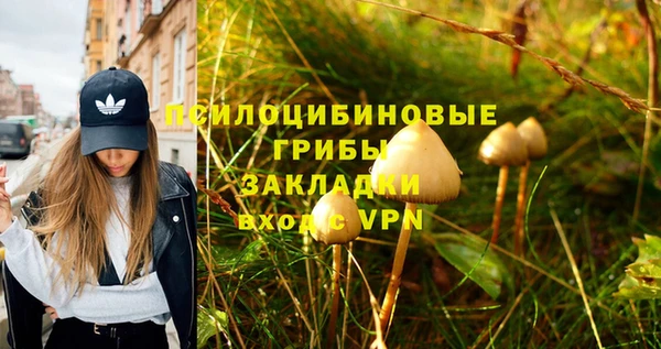 первитин Алексеевка