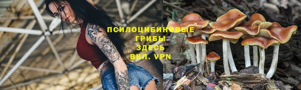первитин Алексеевка
