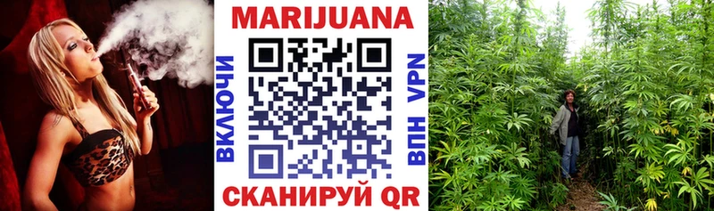 Канабис MAZAR  Купить где  Боровичи 